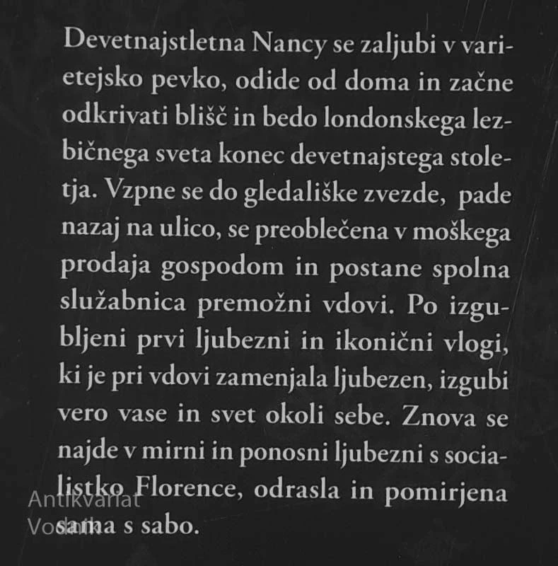 OKUŠANJE ŽAMETA, Sarah Waters