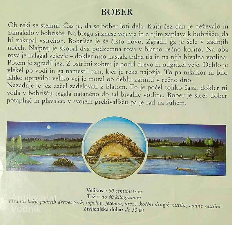 PREBUDIMO SE, KO SE STEMNI, Susanne Riha