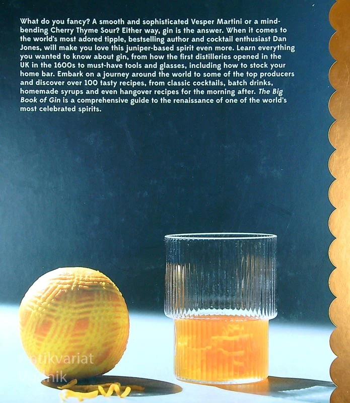 THE BOOK OF GIN, Dan Jones