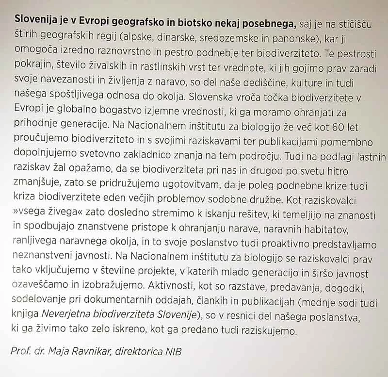 NEVERJETNA / INCREDIBLE, Davorin Tome in Maja Opalički Slabe