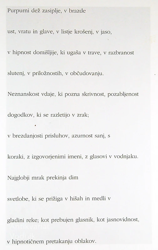 PURPURNI DEŽ, Andrej Medved