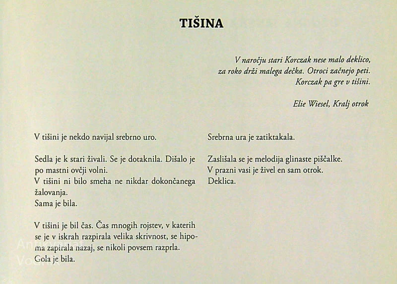SLAMNATA DEŽELA; ARHETIPSKI FRAGMENTI ENEGA ŽIVLJENJA POD EDINIM SONCEM; Nina Kokelj,
