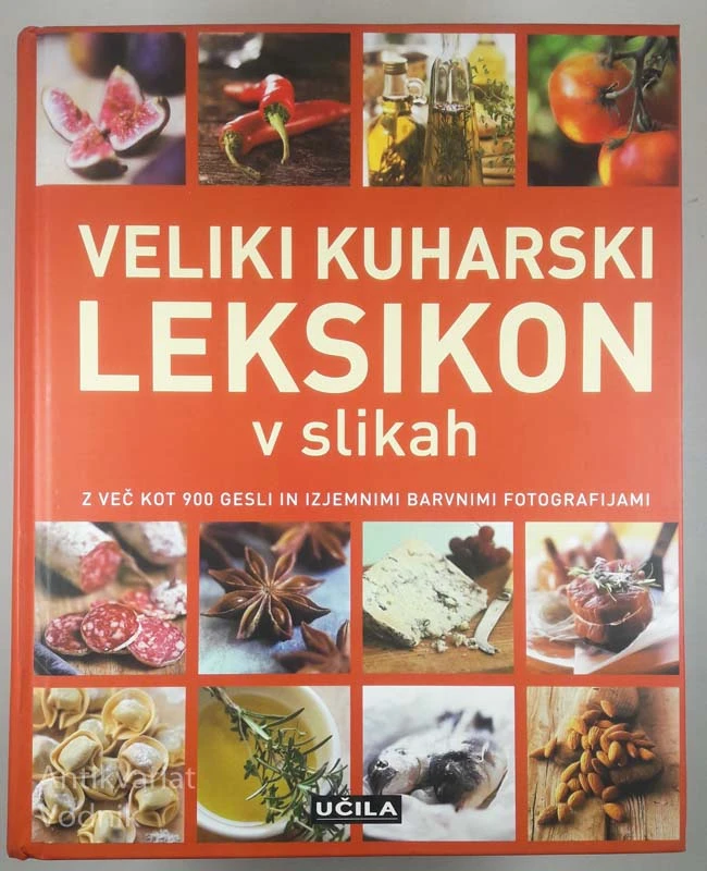 VELIKI KUHARSKI LEKSIKON V SLIKAH