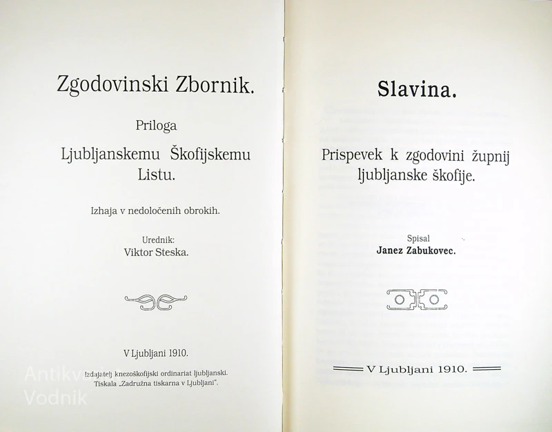 SLAVINA.; PRISPEVEK K ZGODOVINI ŽUPNIJ LJUBLJANSKE ŠKOFIJE, Janez Zabukovec