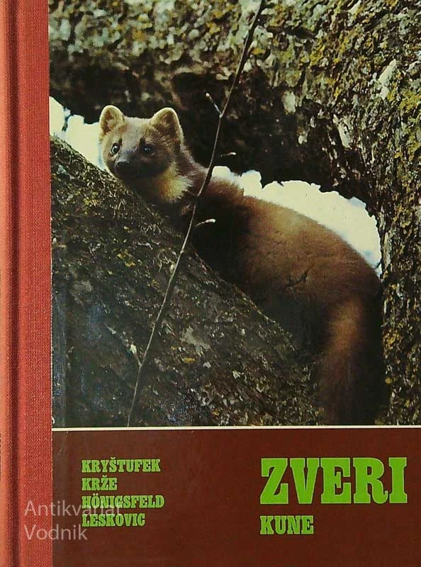 ZVERI I; KUNE – MUSTELIDAE, več avtorjev