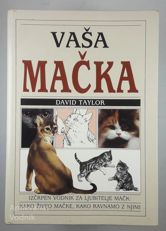 VAŠA MAČKA, David Taylor