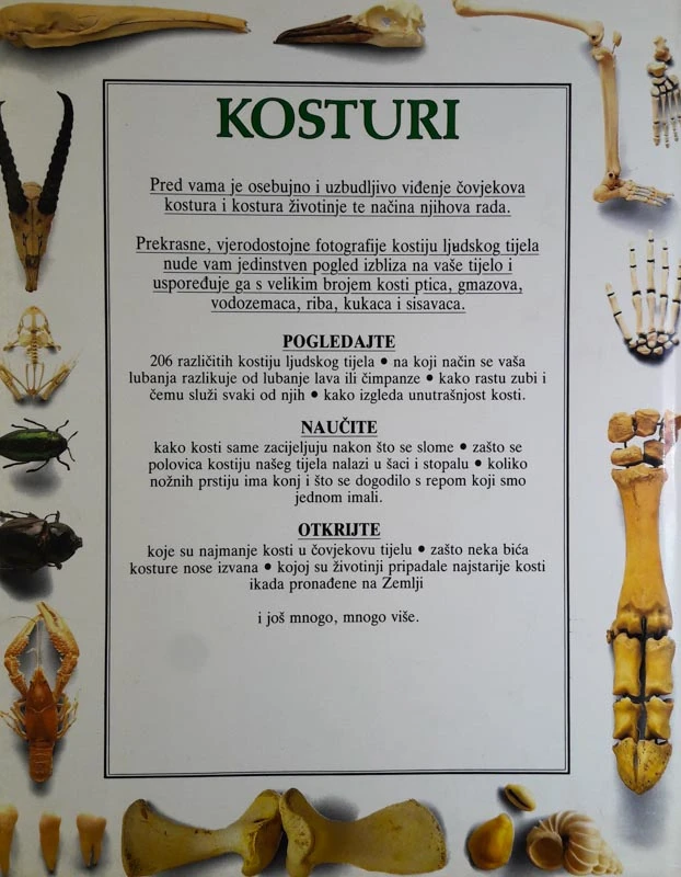 KOSTURI, Steve Parker