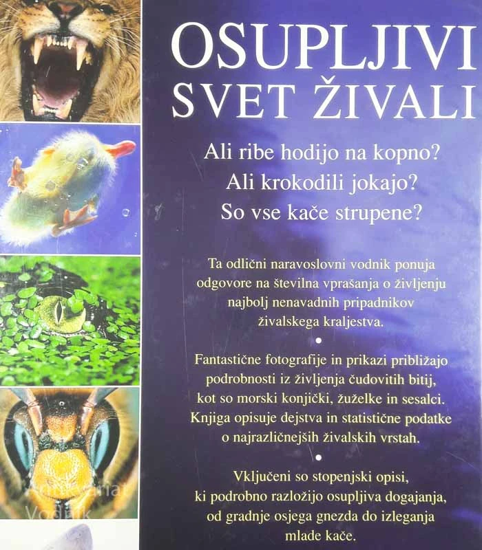 OSUPLJIVI SVET ŽIVALI, Jacqui Bailey