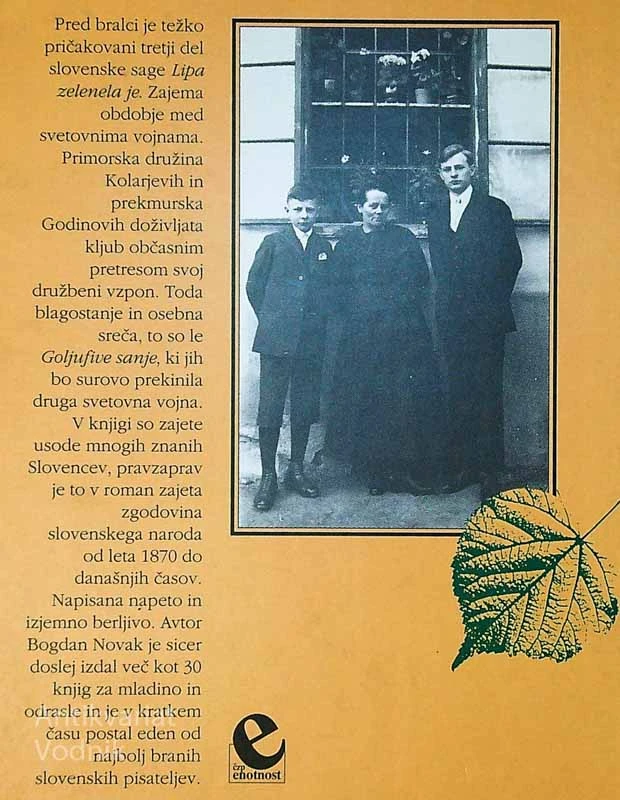 LIPA ZELENELA JE; GOLJUFIVE SANJE (5. in 6. knjiga), Bogdan Novak