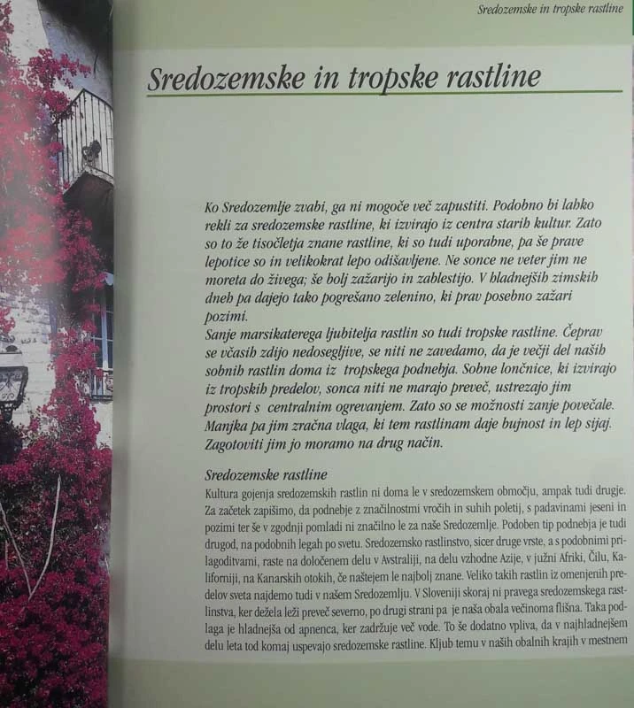 SREDOZEMSKE IN TROPSKE RASTLINE, Jože Bavcon
