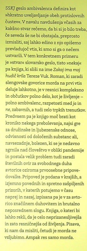 ZAKAJ IMA MOJ HUDIČ KRILA, Tereza Vuk