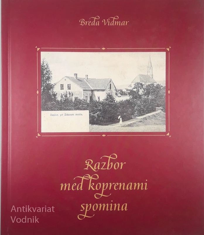 RAZBOR MED KOPRENAMI SPOMINA, Breda Vidmar