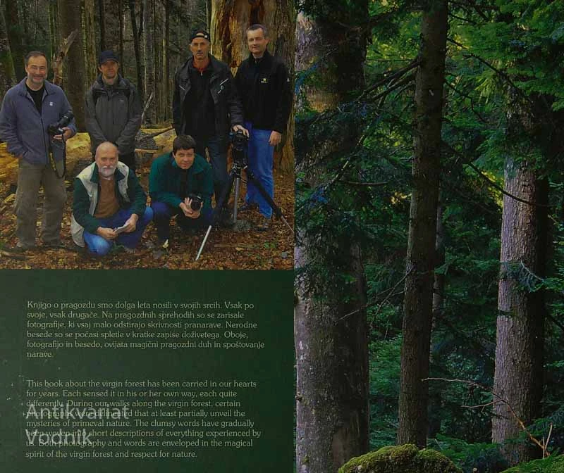 PRAGOZD / VIRGIN FOREST, Tomaž Hartman