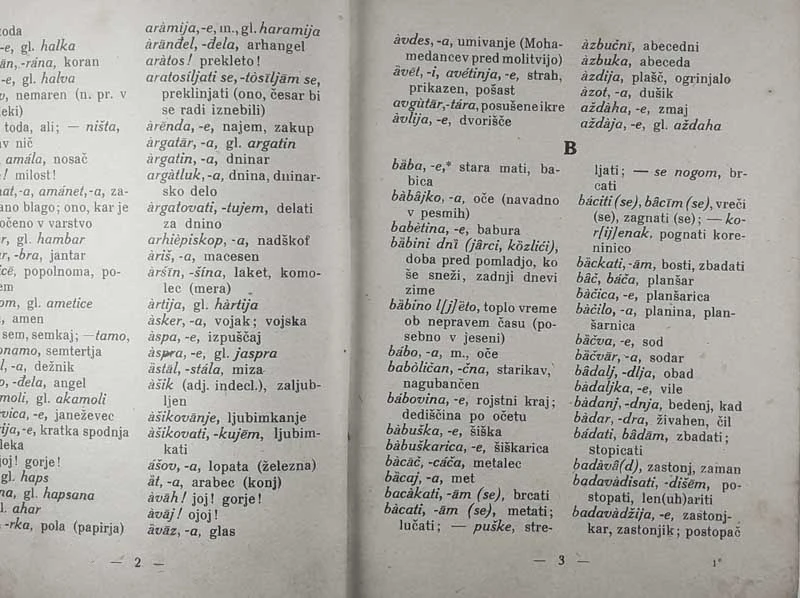 SRBSKOHRVATSKO-SLOVENSKI SLOVAR