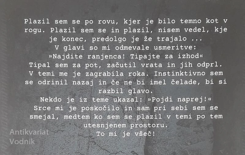 RIS, Luka Zorenč