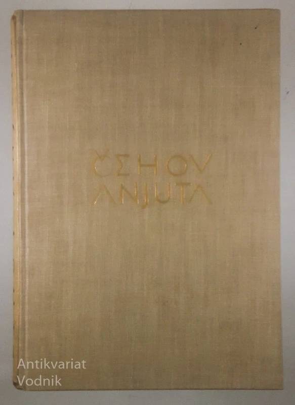 ANJUTA/NOVELE, A. P. Čehov