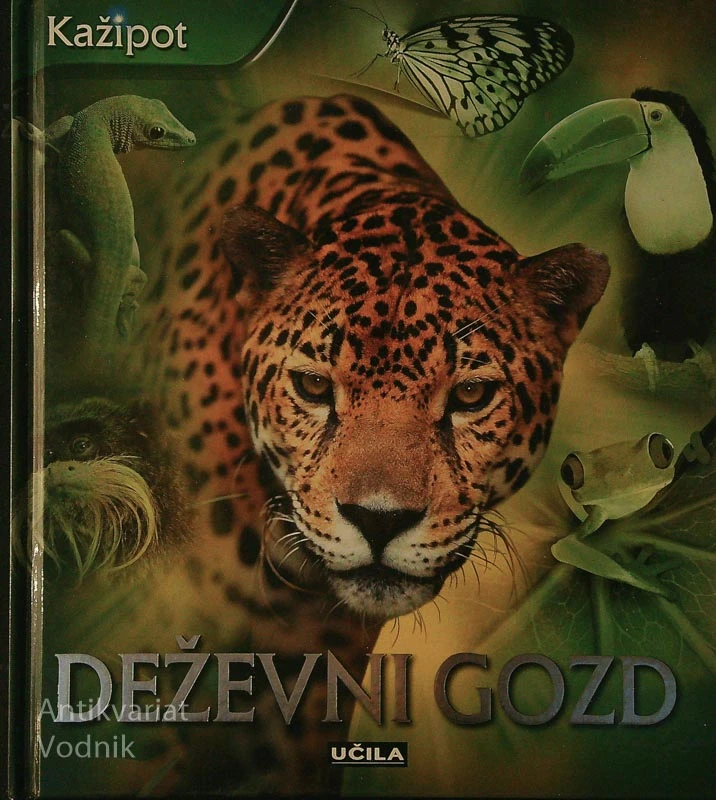 DEŽEVNI GOZD, Andrew Langley