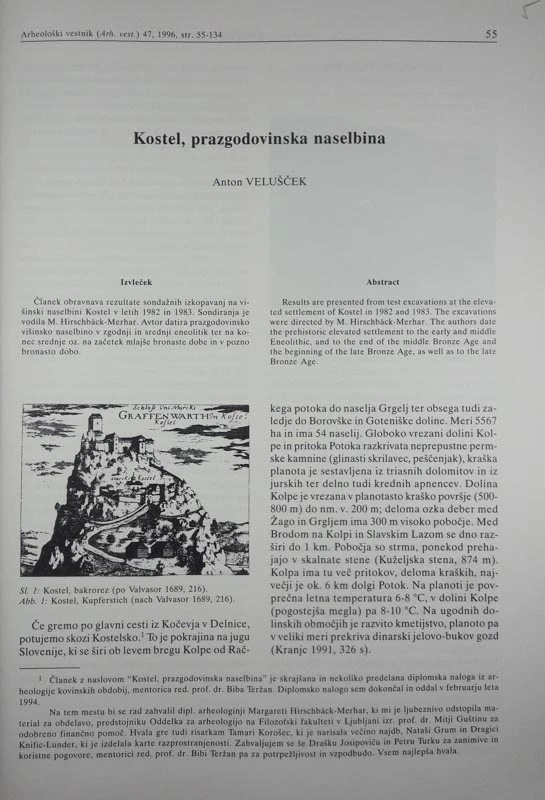 KOSTEL, PRAZGODOVINSKA NASELBINA, Anton Velušček