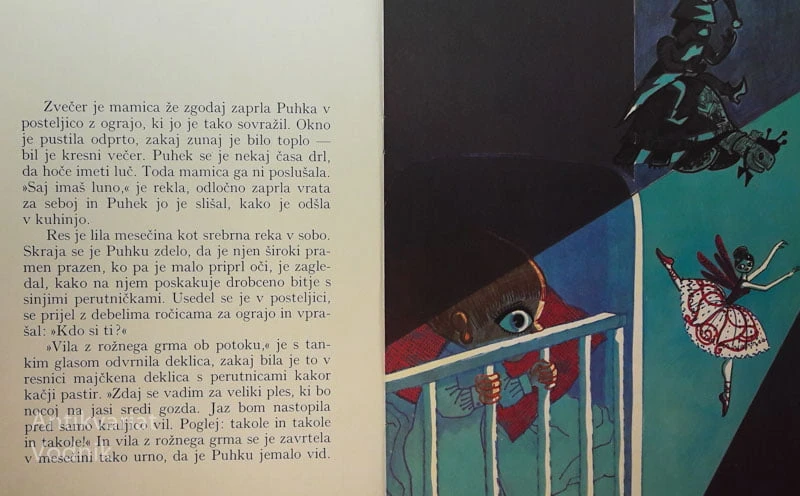 PUHKOVA KRESNA NOČ, Mira Mihelič