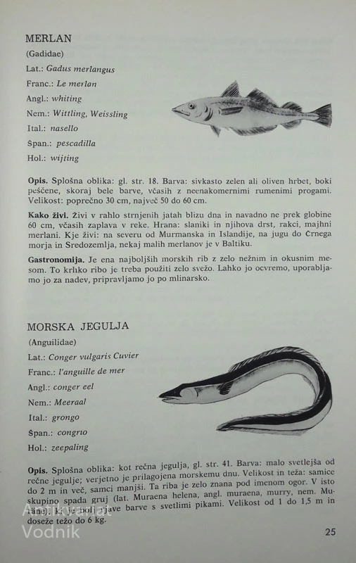 RIBE IN RAKI V MEDNARODNI KUHINJI