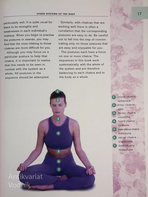 YOGA, Sue Lilly