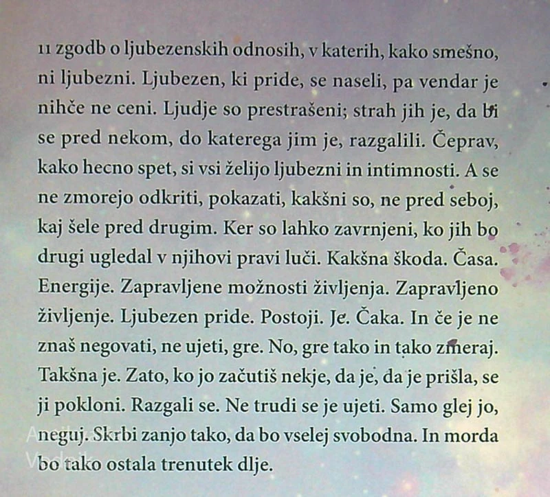 RAZMERJA; KRATKE ZGODBE, Damjana Bakarič