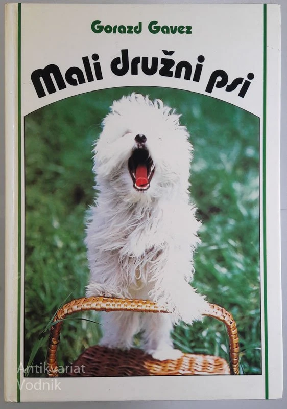 MALI DRUŽNI PSI, Gorazd Gavez