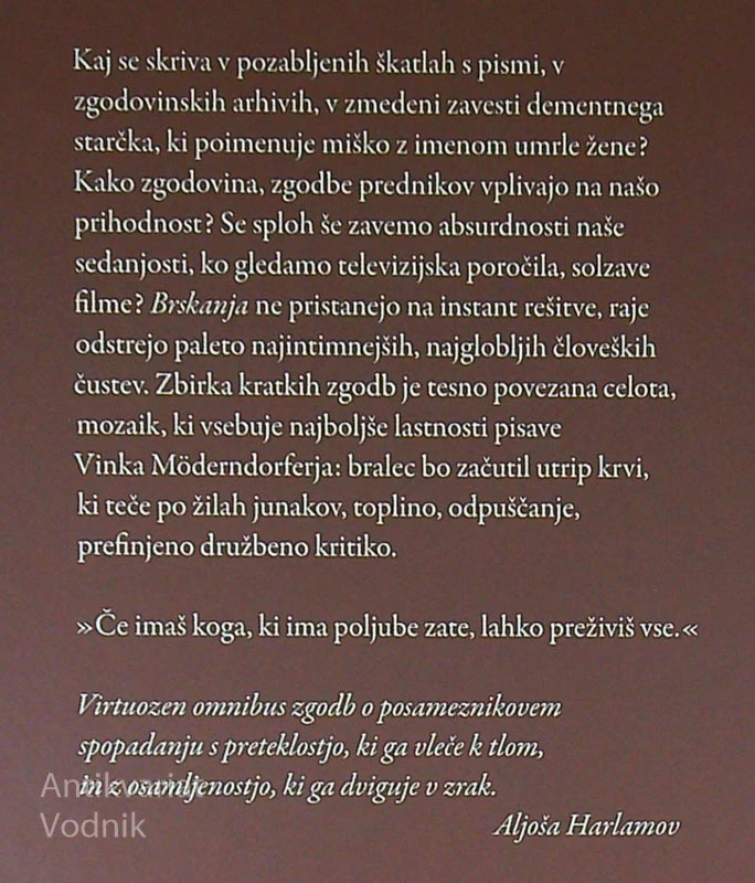 BRSKANJA, Vinko Möderndorfer