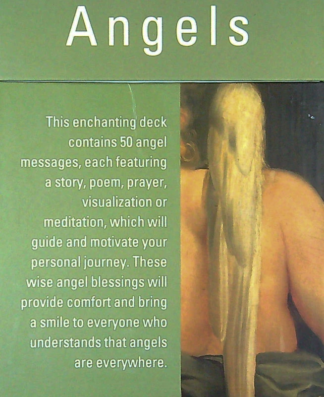 ADVICE FROM ANGELS; MESSAGES FROM THE ANGELS WE MEET EVERY DAY, Chrissie Astell