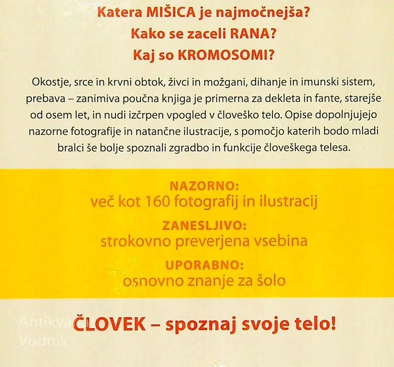 ČLOVEK, Heike Herrmann