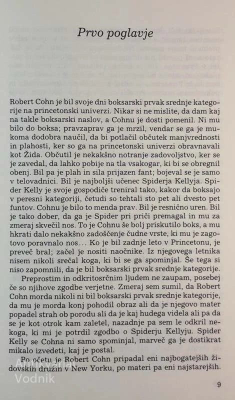 Ernest Hemingway, SONCE VZHAJA IN ZAHAJA