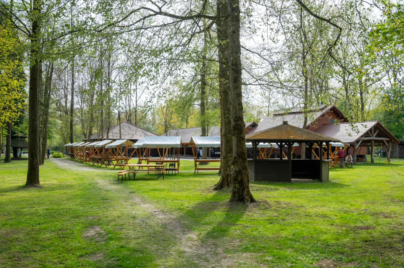 Otok ljubezni v znamenju povezovanja, druženja in zdravja — fotografija 11