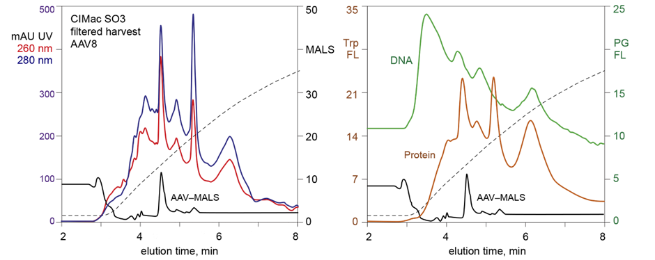 AAV Features Chromatogram