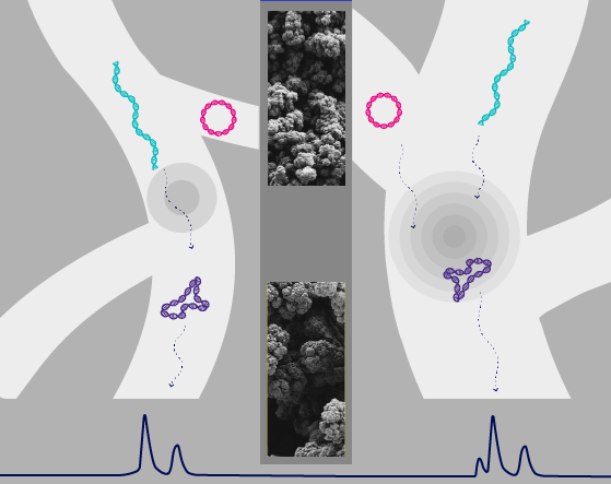 Quick Start Methods for Plasmid DNA Isoform Monitoring