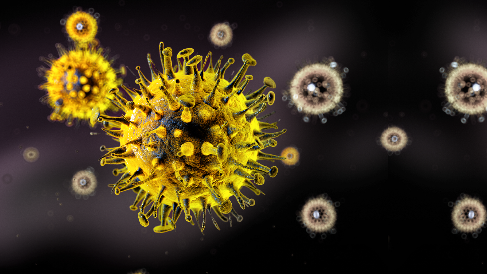 bigslideshow_2000x1125-21