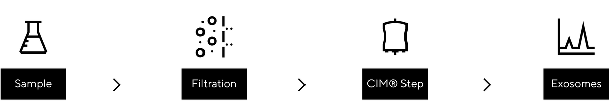 evs_simplified-process