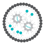 LNP Lipid nanoparticle illustration