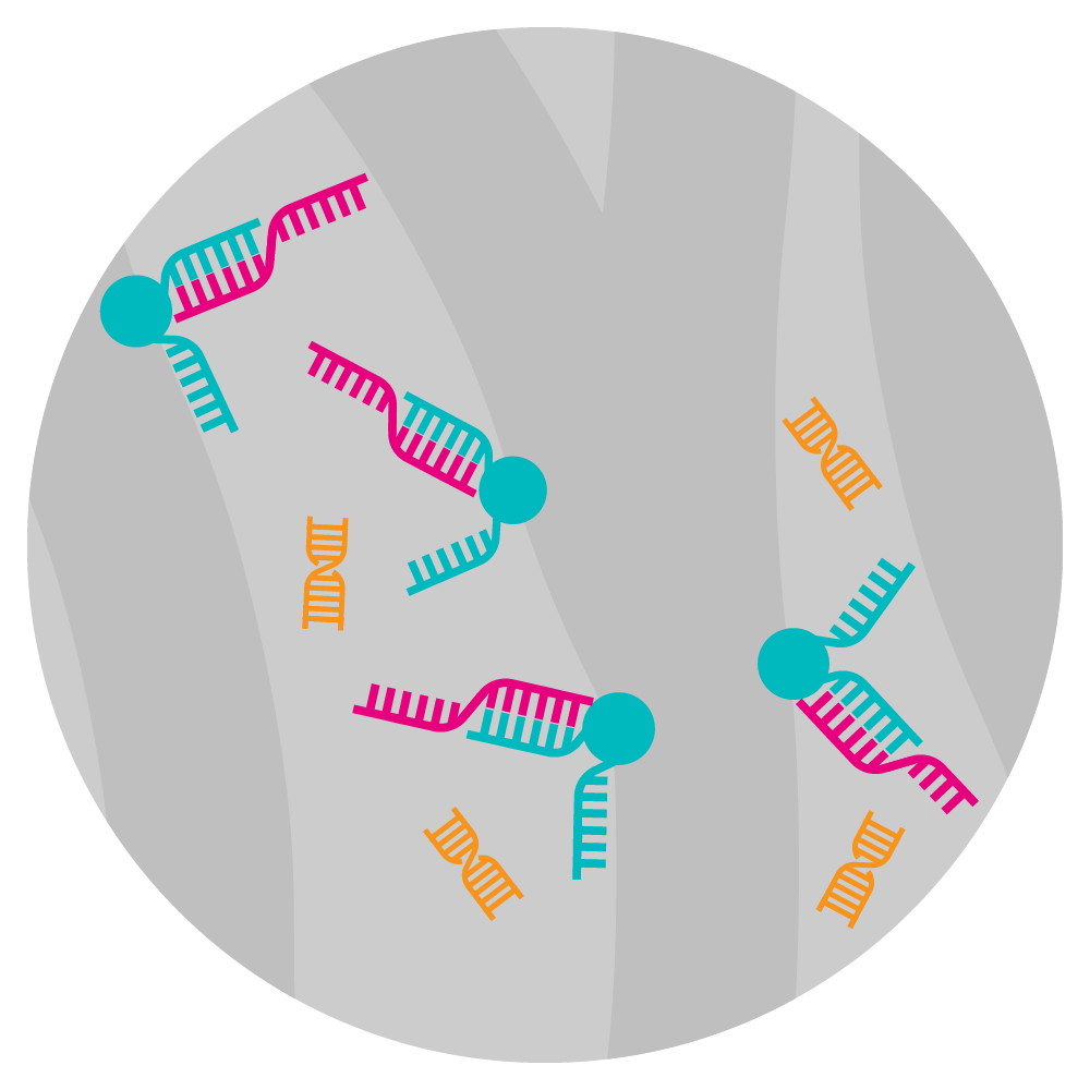 Applications of Chromatography in Bioprocessing
