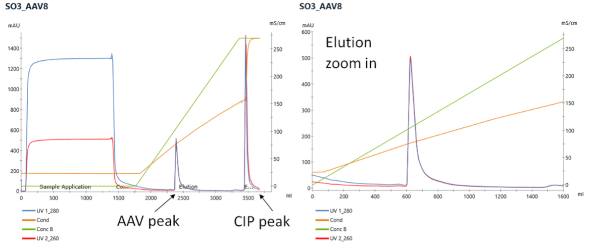 AAV process: Example SO3 Chromatogram