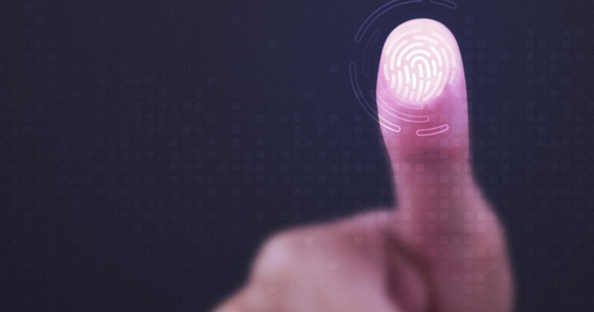Fingerprint scanner on transparent screen