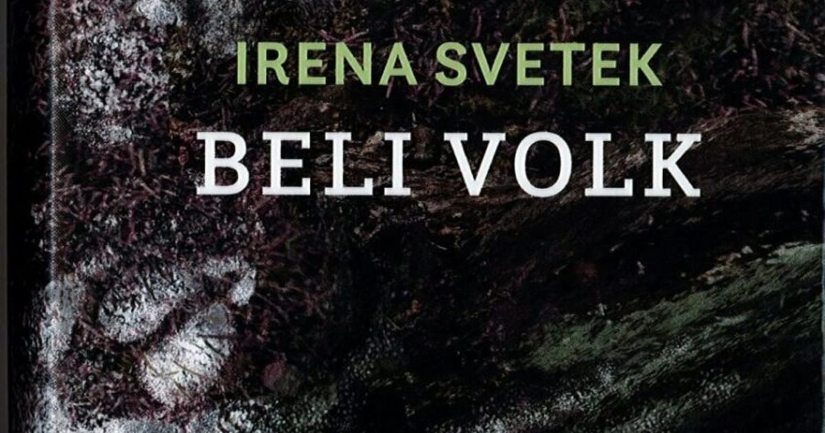 Beli-volk-903×1280