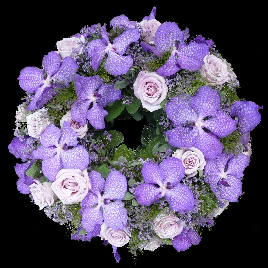 Vanda