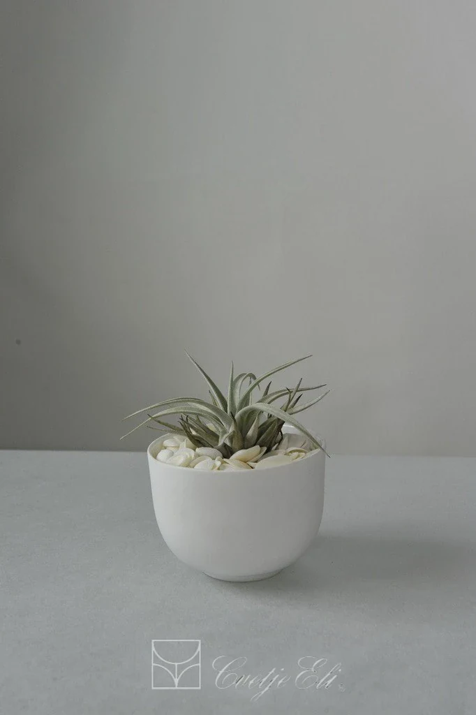POSEBNA PONUDBA