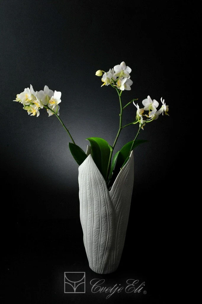 POSEBNA PONUDBA