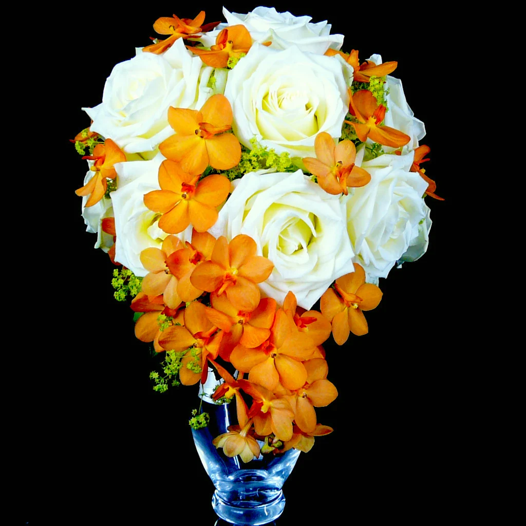 Orange Diamond