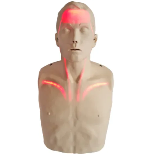 CPR lutka Brayden ADULT BASIC