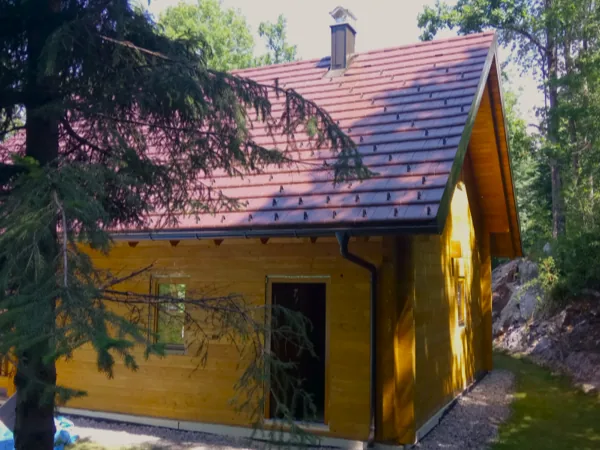 Brunarica na robu gozda — fotografija s projekta