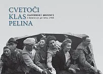 Cvetoči klas pelina