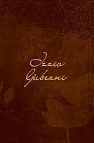Izziv ljubezni