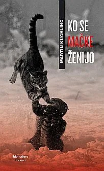 Ko se mačke ženijo